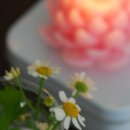 세븐일레븐응암중앙점 이미지