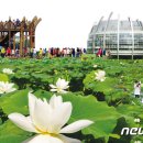 무안생태갯벌사업소 이미지