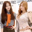 다솜 TV리포트