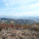 남지시장 이미지