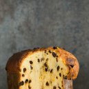 파네토네 이미지