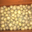 매일농장 이미지