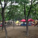 양재어린이공원 이미지