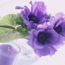 흐르는물 이미지