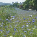 해맞이농장 이미지