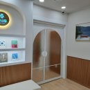 책나무분당수내독서논술학원