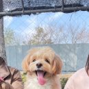 태안오션힐리조트 이미지