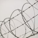 일기상사 이미지