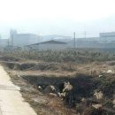 두원공인중개사사무소 이미지