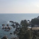 피노키오제과 이미지