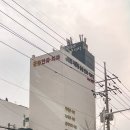 지동범 동물 안과 치과병원 | 민식이 치아 건강 회복기 – 부산 지동범 동물병원에서 발치+스케일링 받았어요!