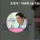 조정석 - 아로하 [슬기로운 의사생활 OST] [가사/Lyrics] 이미지