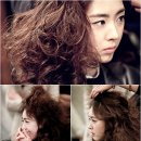 사자코리아 이미지
