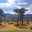 스포츠파크 파크골프장 이미지