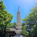 해안뜰 | [부산] 아름다운 해안 절경과 한가지 소원을...내부, 중요 포인트, 포토존, 후기, 대한민국 3대 관음성지