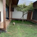 덕봉 | 제주 반려견 동반 숙소 덕봉이네 후기｜아이와 강아지 모두 행복했던 힐링 펜션
