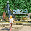 오행약국 이미지