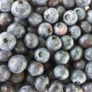 한창농장 이미지