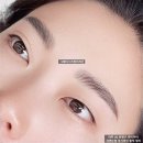 네코타투디자인학원 | 반영구학원 강남·명동 눈썹문신 잘하는곳 / 타투 vs 반영구 차이부터 자연눈썹 후기까지 솔직 정리!