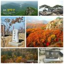 파주 감악산(국내최장,출렁다리) 단풍산행~ 이미지