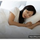 킴스테이9 이미지