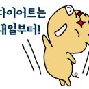 구의복싱 이미지