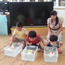 서도초등학교병설유치원 이미지