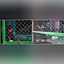 올리바바양꼬치 이미지