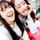 공심이 이미지