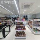 도그어게인 이미지