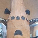 한선희 낙지명가 이미지