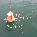 강북휴요양병원 이미지