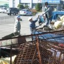 금천면사무소 이미지