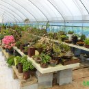 성민농장 이미지