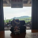 브리더스 퀄리티 | 스포츠서울배(L), 서울마주협회장배(G2) 후기