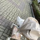 휴대용유모차 킨즈유모차 후기