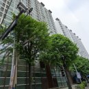 금호어울림아파트 104동 주변 네이버블로그