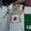 필동물종합병원 이미지