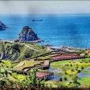 동명불원 이미지