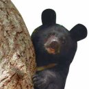 명수농장2 이미지