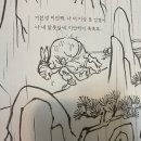 거북이약방