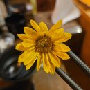 한솥도시락 전북고창터미널점 | [전주] 전북대 | 주인테이블 | 쫌쫌따리 서비스를 계속 내주는 눈도 배도 배부른 전북대 술집 후기