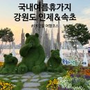 솔모텔 | [여름국내여행] 인제&amp;속초 1박2일 코스 총정리 (카페자작, 추억모텔, 속초해수욕장, 청초호, 속초콩카페)