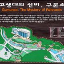 하식도 Daum카페