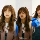 유정이네 Daum카페