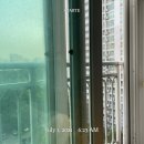 압구정소망약국 | [7월 1일~7일/일상] 덥다.. 더워 미치겠다..