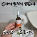 셀틱 | 강아지 알러지 영양제 찐 후기 - 셀틱 프로큐민 알로커트
