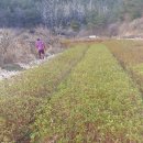 석암농장 이미지