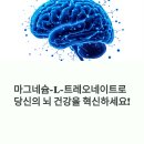기억력 개선 마그네슘-L-트레오네이트 실제 후기