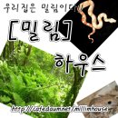 청소하다 이미지